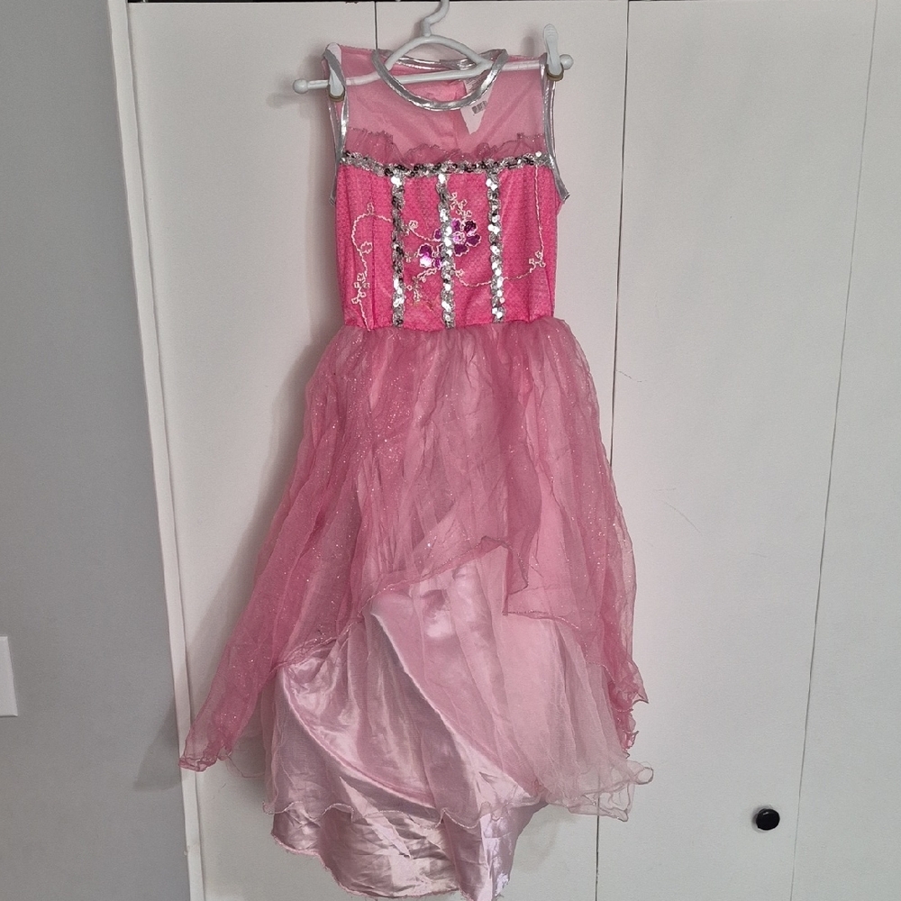 Light Up Pink Princess Kids Costume